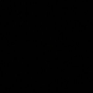 Meet your Posher, Faith